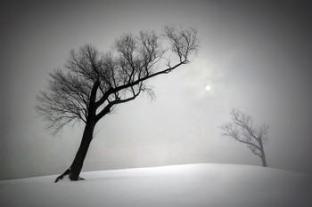 Echo / ***