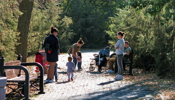 Der Park ... / ***