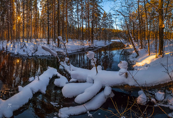 Nach Schneefall / ***