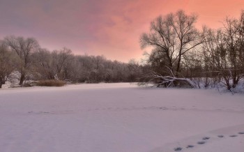 Sonnenuntergang im Winter / ***