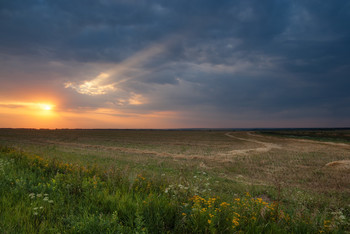 Sonnenstrahl / ***