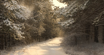 Der Winter kam / ***