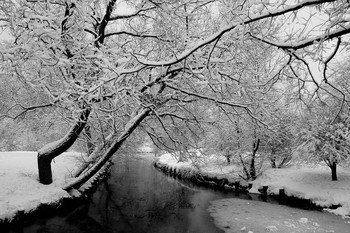 Snowfall / ...