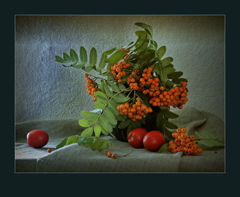 Herbstmotiv / ***