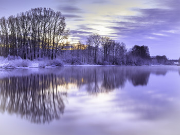 Frische / ***