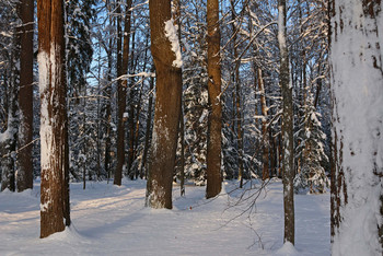 Winter-Skizzen / ***