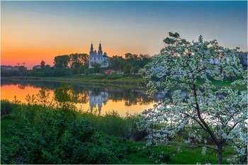 Spring Bank / ***