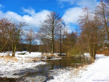 Winterlandschaft / ***