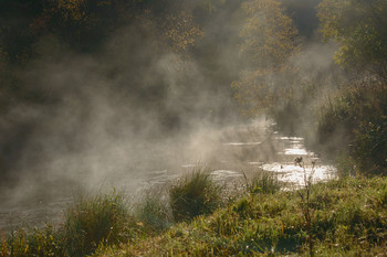 Ghostly alle / ***