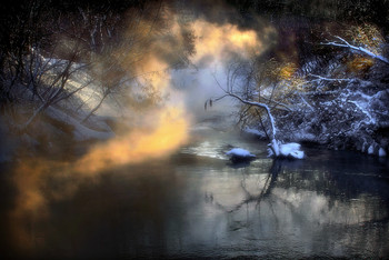 Ghostly alle / ***