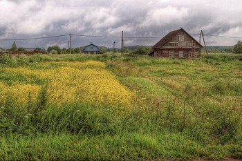Sommer / ***