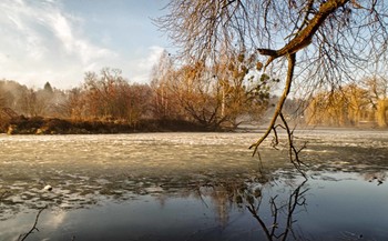 Winternebel / ***