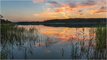 Am Ende des Tages. / ***