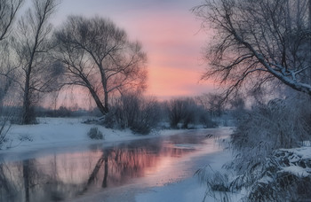 winter morning / -------------