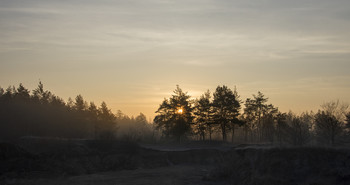 Morgen / ***