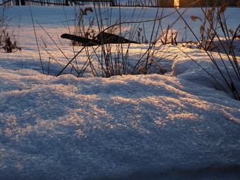 Frühling kam / ***