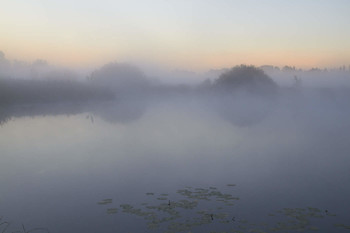 Nebliger Morgen / ***