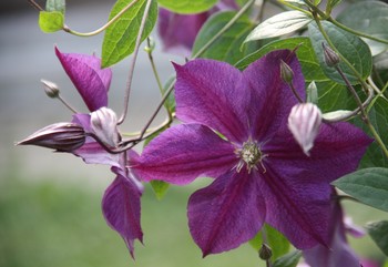 Sommer kommt bald / ***