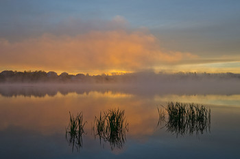Hot Morgengrauen / ***