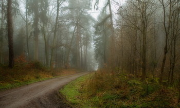 Es ist um die Ecke ... / ***