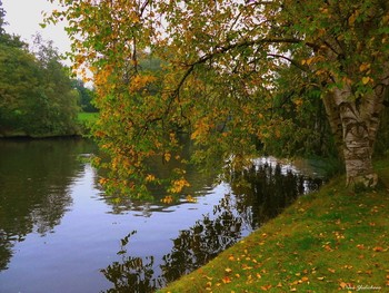 Hamburg. Alsterdorf / ***