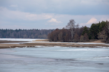 Erwachen / ...