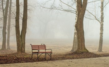 Nebliger Morgen / ***