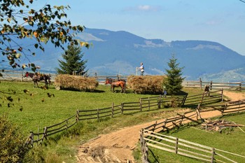 Rural Wochentagen / ***