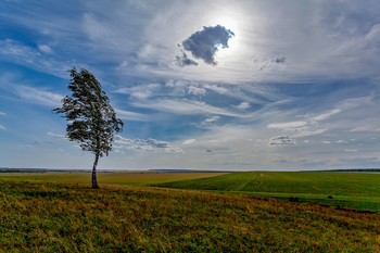On Seven Winds / ***