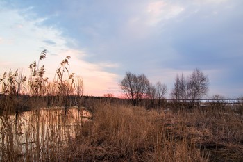 Morgendämmerung / ***