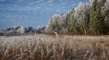 Ende November / ...