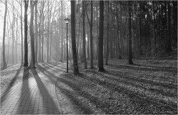 Frühling im Park / ***