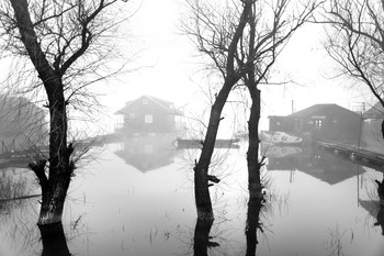 Morgennebel / ***