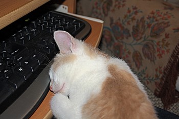  / " " "