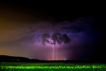 Blitz / ***