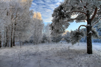 Frost und Sonne .. / ***