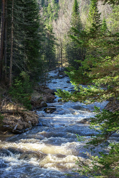 The River / ***