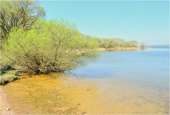 Spring Beach / ***