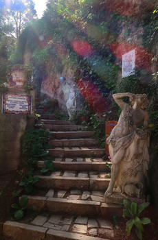  / Welcome to Paradise