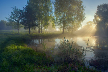 Mai Morgen / ***