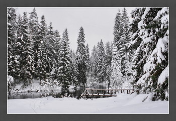 Winter / ***