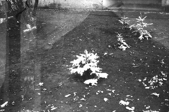Der Weg zum Tempel / ----_---