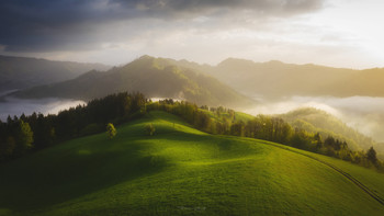 Einfache Landschaft / ***