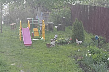 Die Mai-regen. / ***