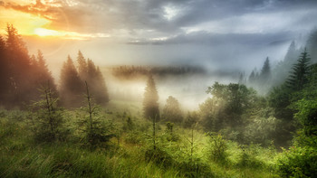 Morgendämmerung in den Bergen / ***
