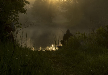 Fisher / ***