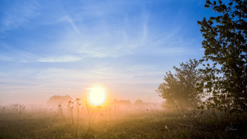 Morgendämmerung / ***