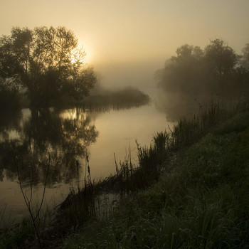 Morgendämmerung / ***