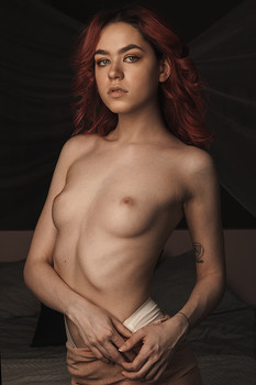  / ***