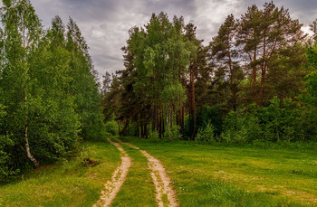 Vor dem Regen / ***